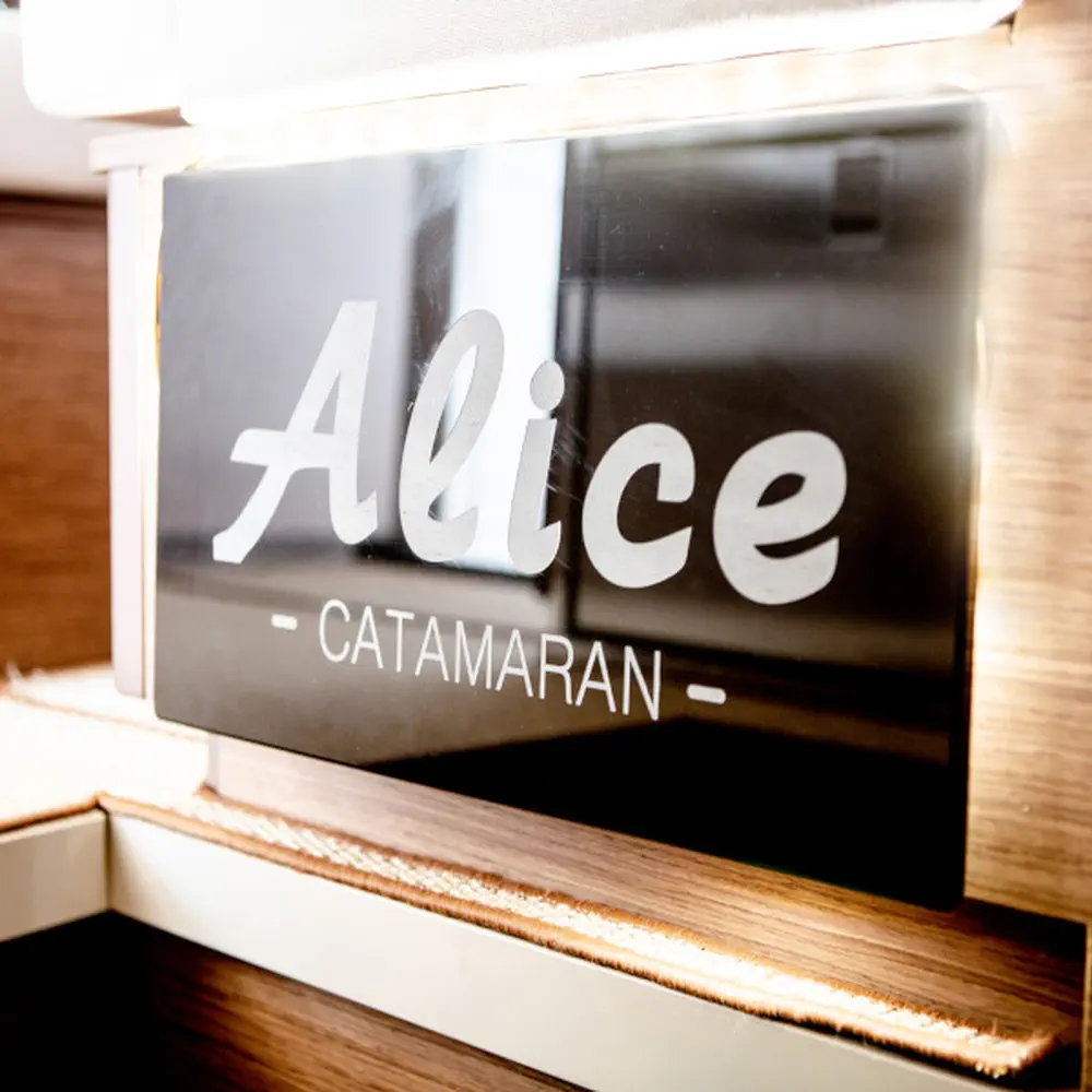 ALICE 26