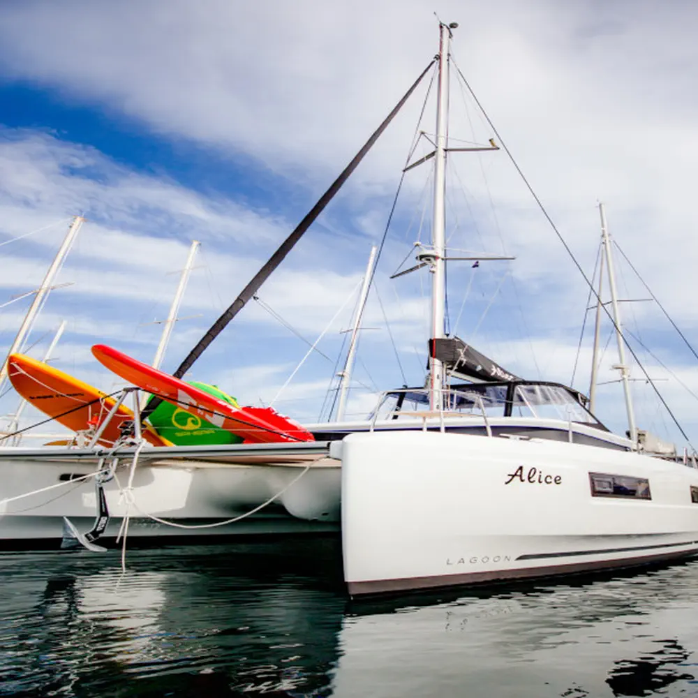 ALICE 44