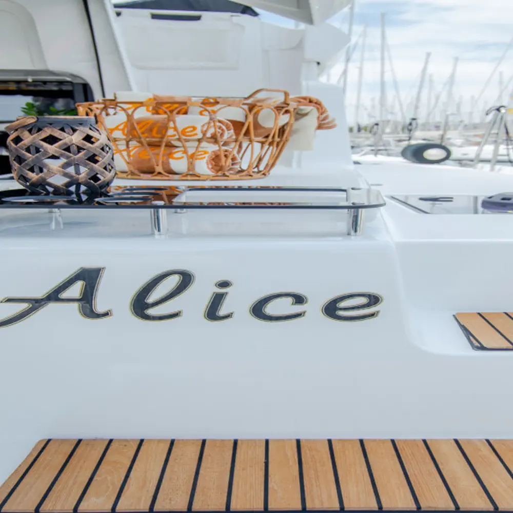 ALICE 66