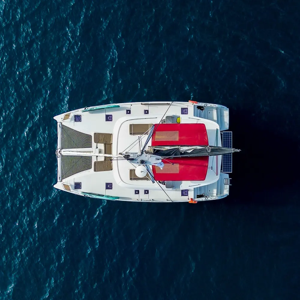 Hydra 31