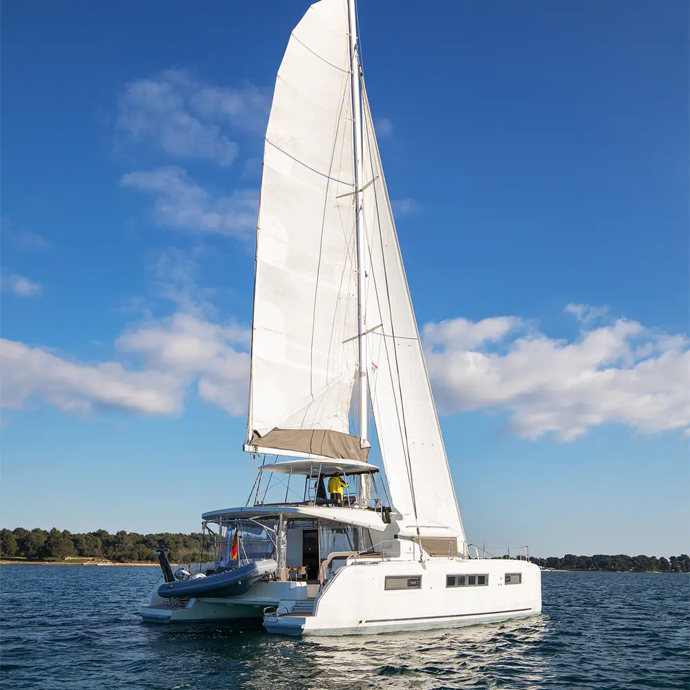Aliana 39