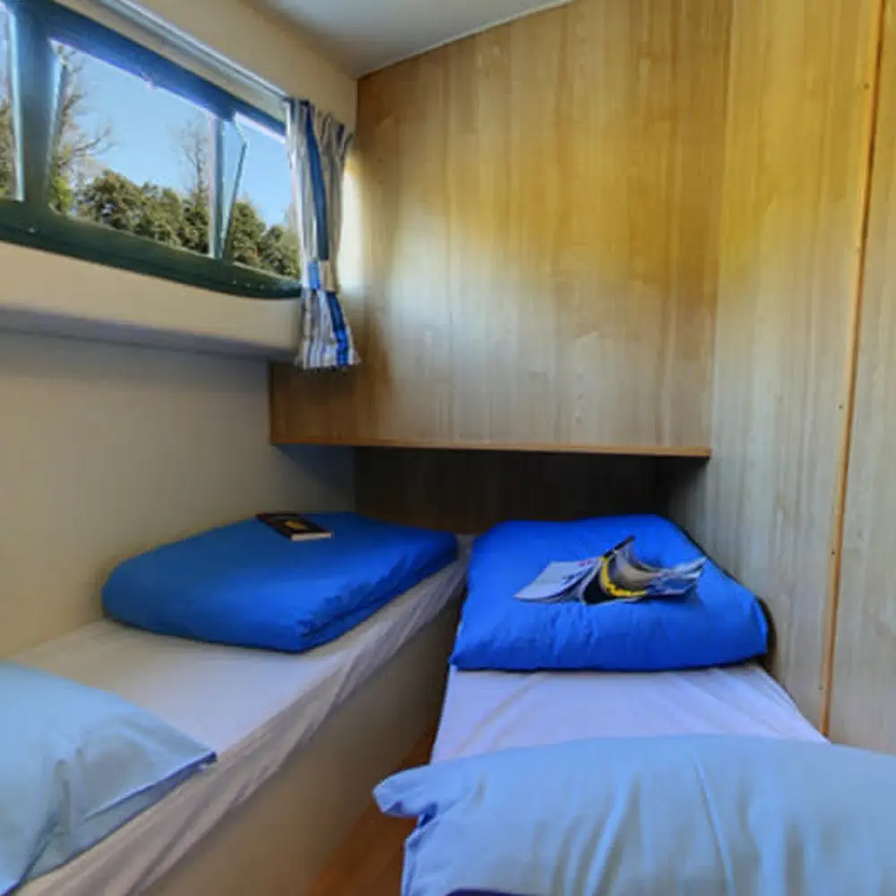 Elegance - Comfort 3 3