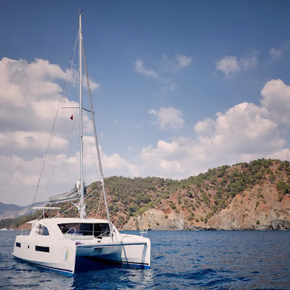 Main image of catamaran, Leopard 40 Damla