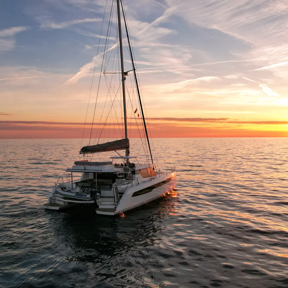 Solaia 39