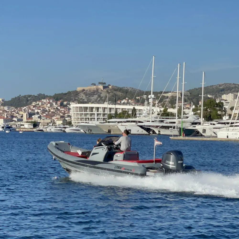 Adrenalina 2