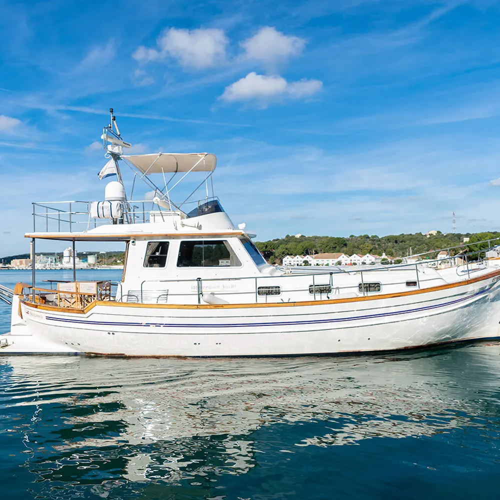 Buccara V 6