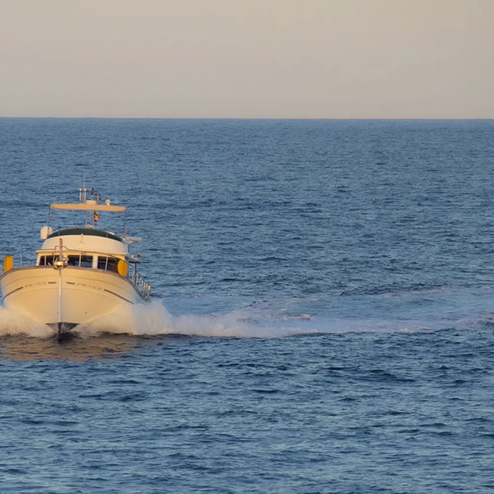 Buccara XIV 11