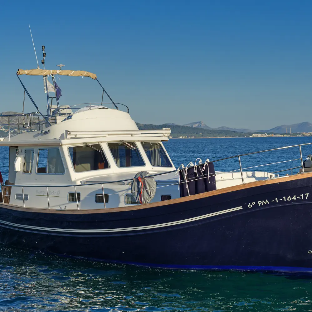 Buccara VI 4