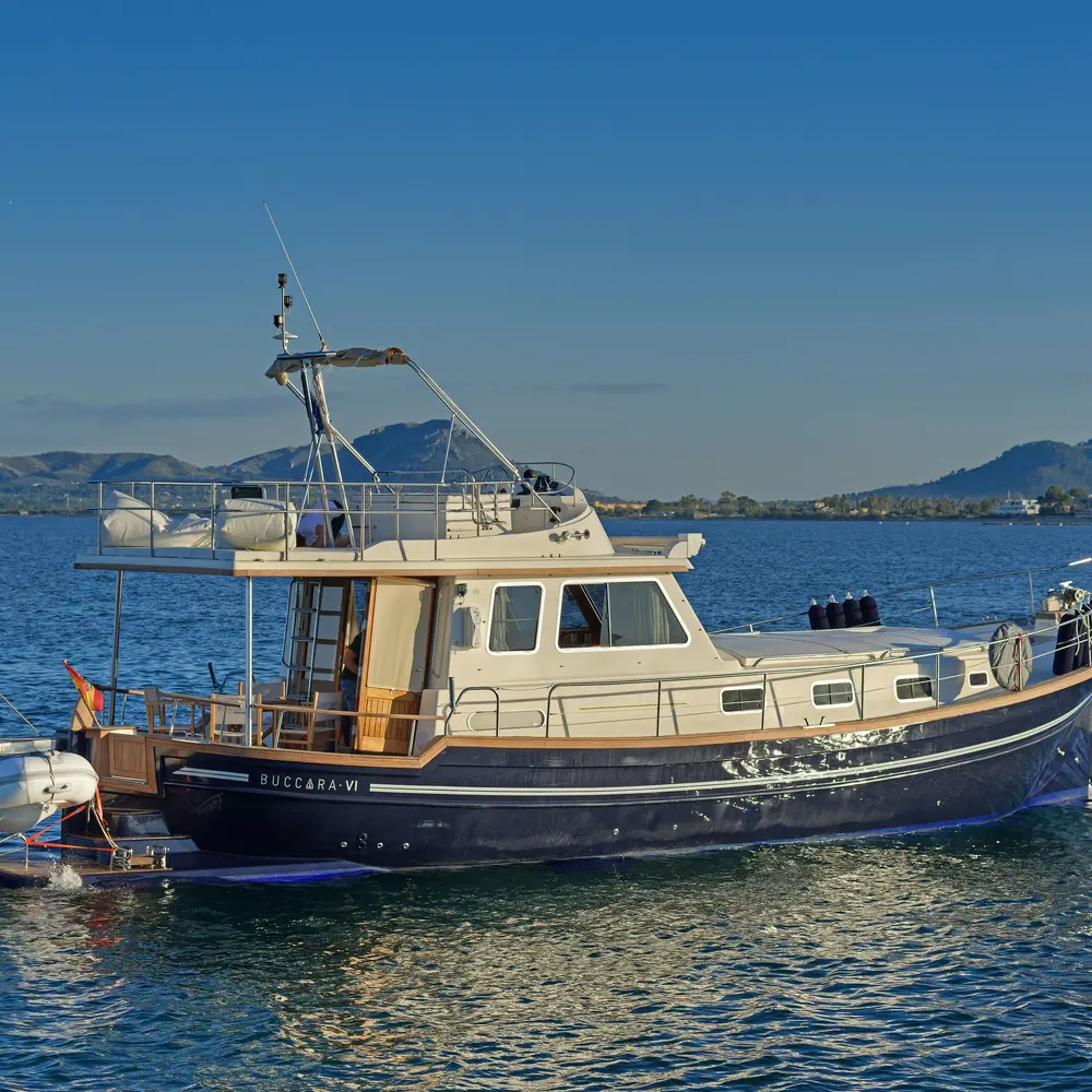 Buccara VI 2