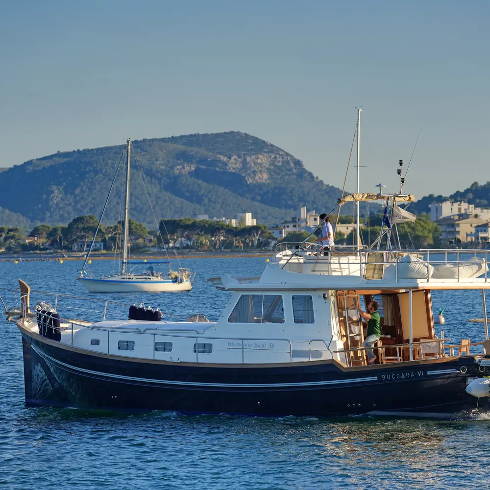 Buccara VI 22