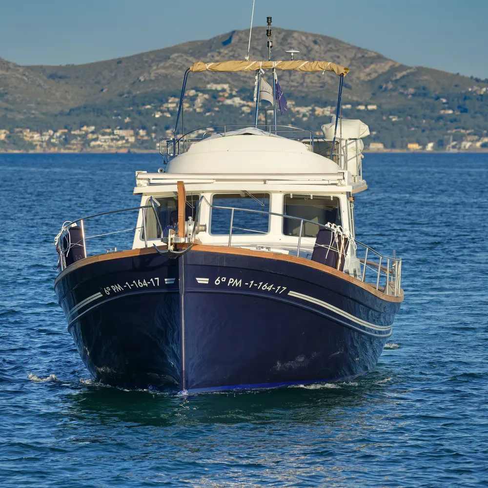 Buccara VI 25