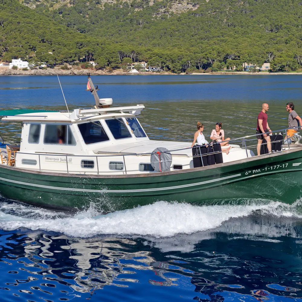 Buccara VIII 15