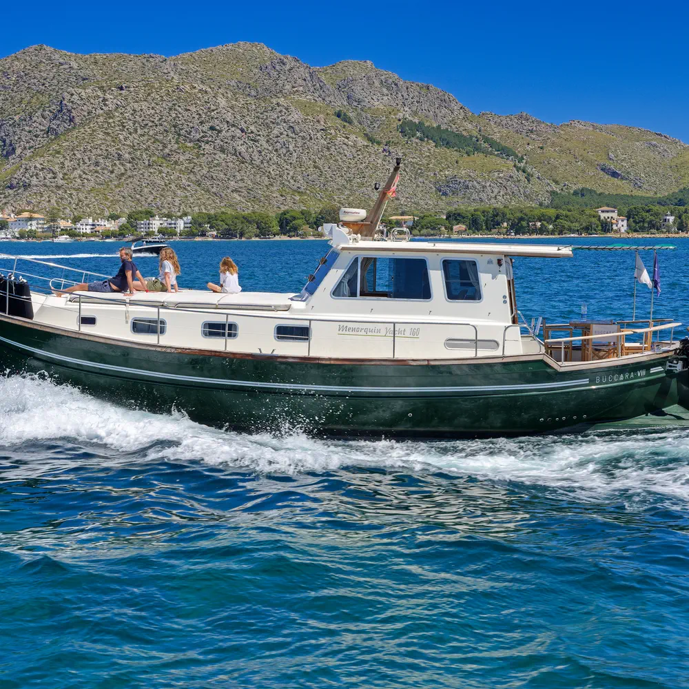 Buccara VIII 20
