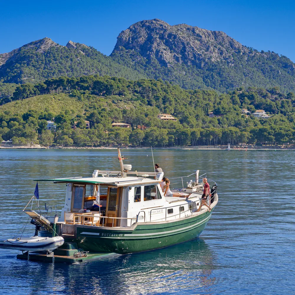 Buccara VIII 19