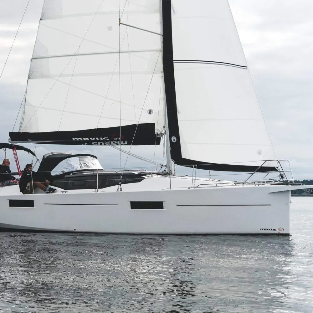Ptasia Wyspa 5