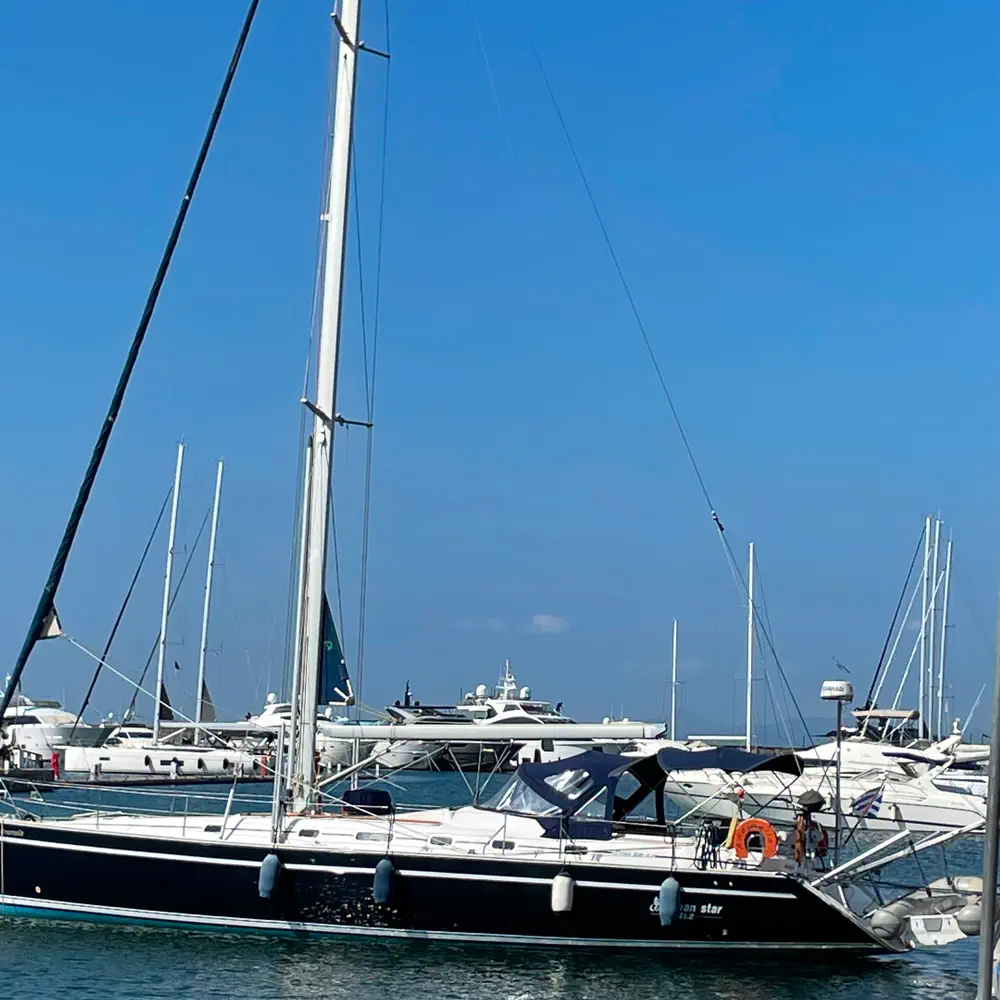 Anemelia 2