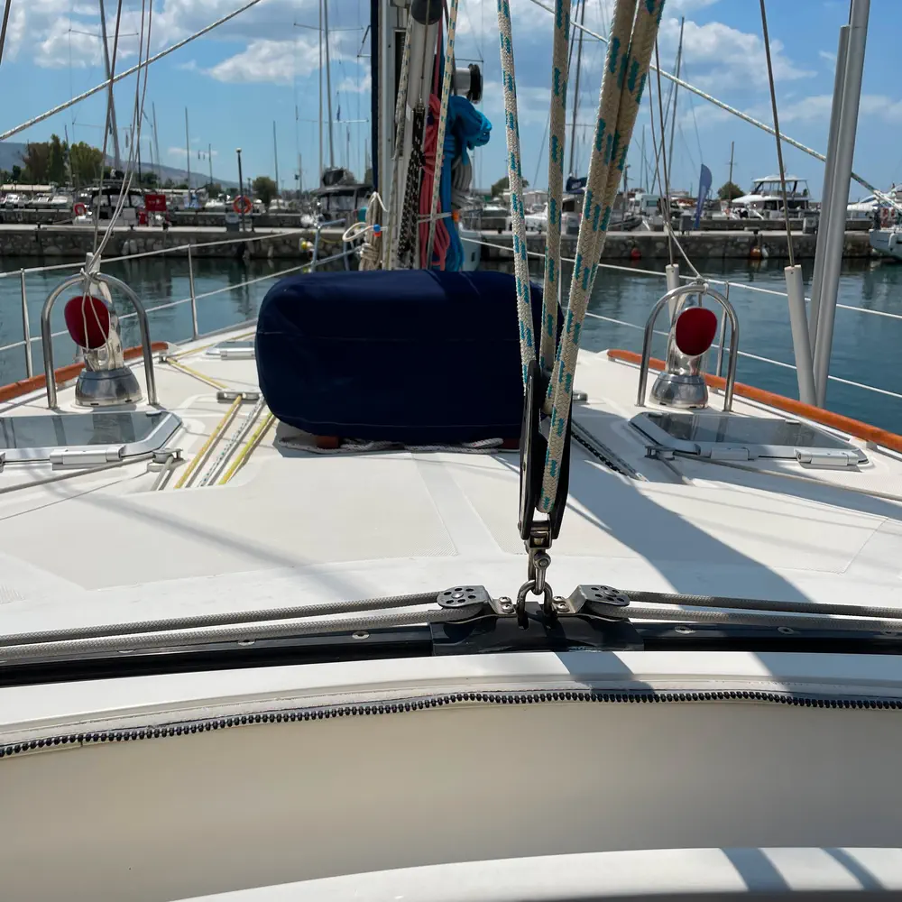 Anemelia 5