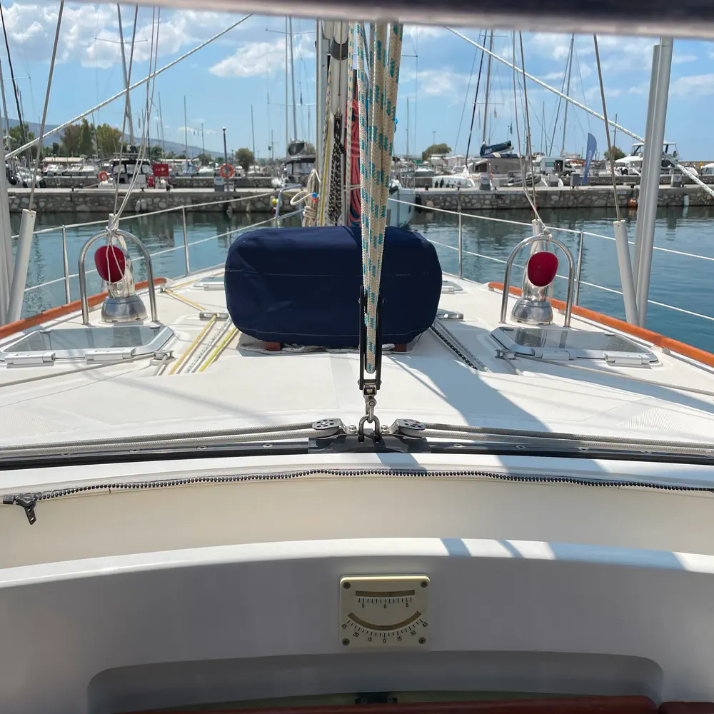 Anemelia 7