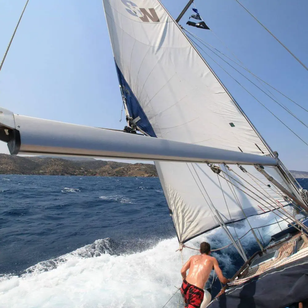 Alexandros (58.4) 11