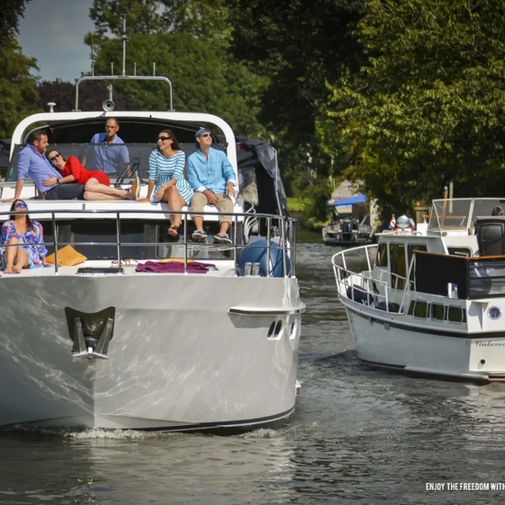 Royal 41