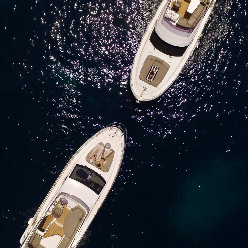 Amica 36
