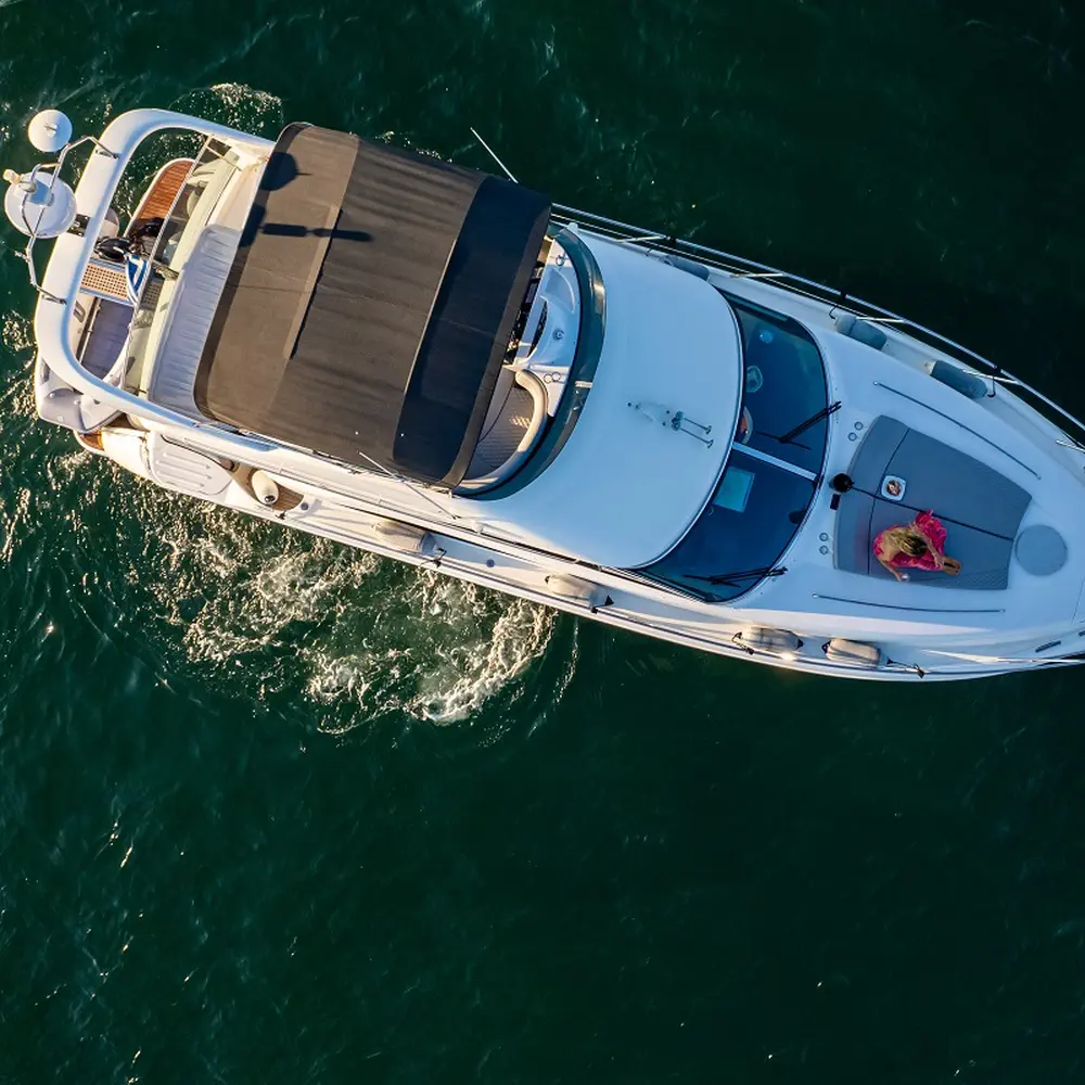 Carina 39