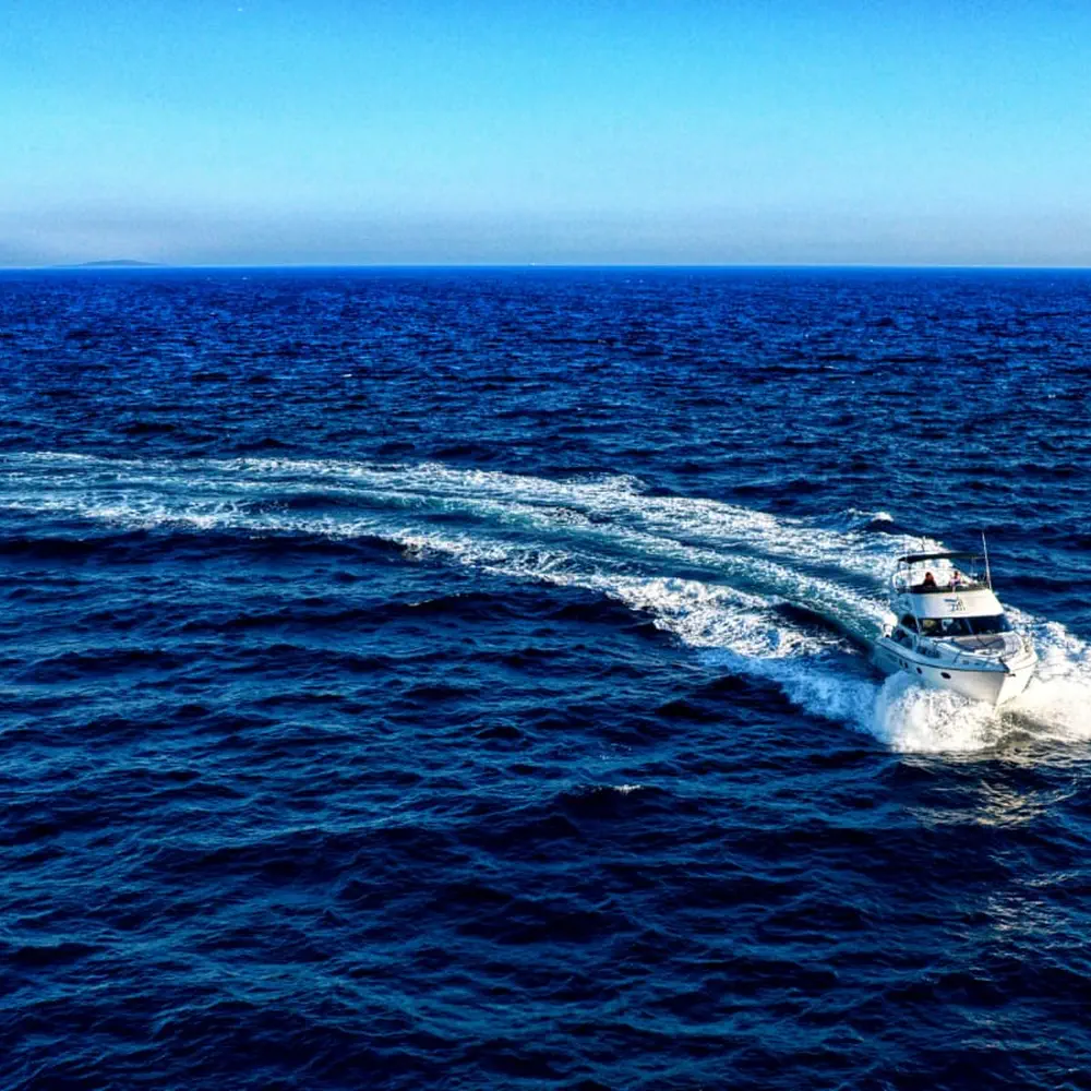Carina 51