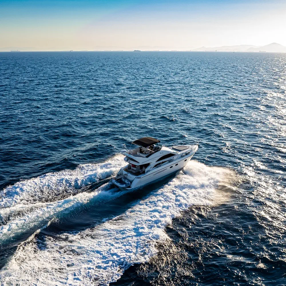 Carina 47