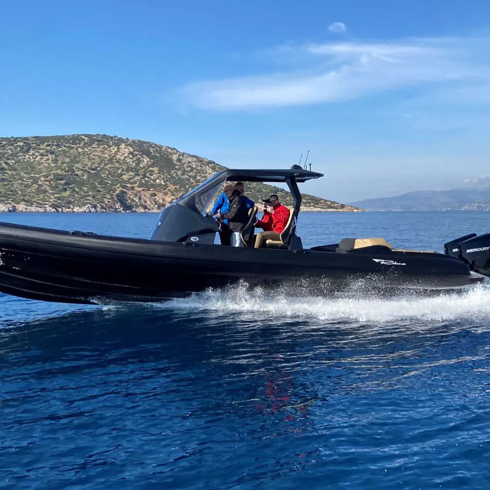 Wild Rose 17