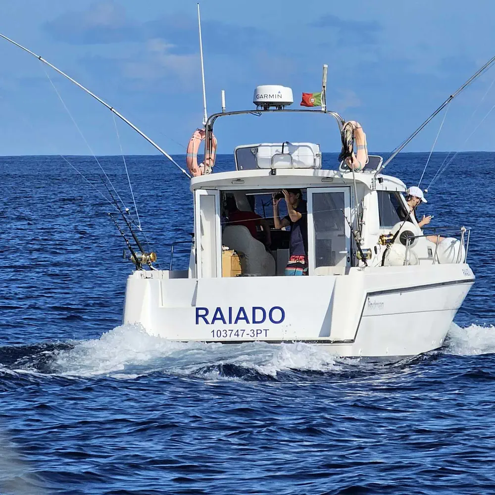 Raiado 1