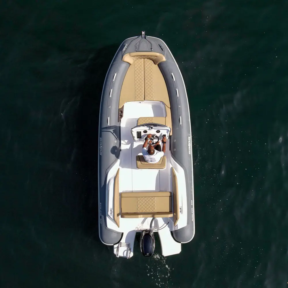 Salpa 16