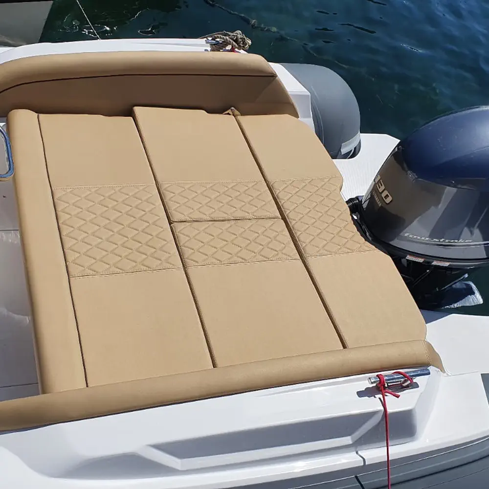 Salpa 11