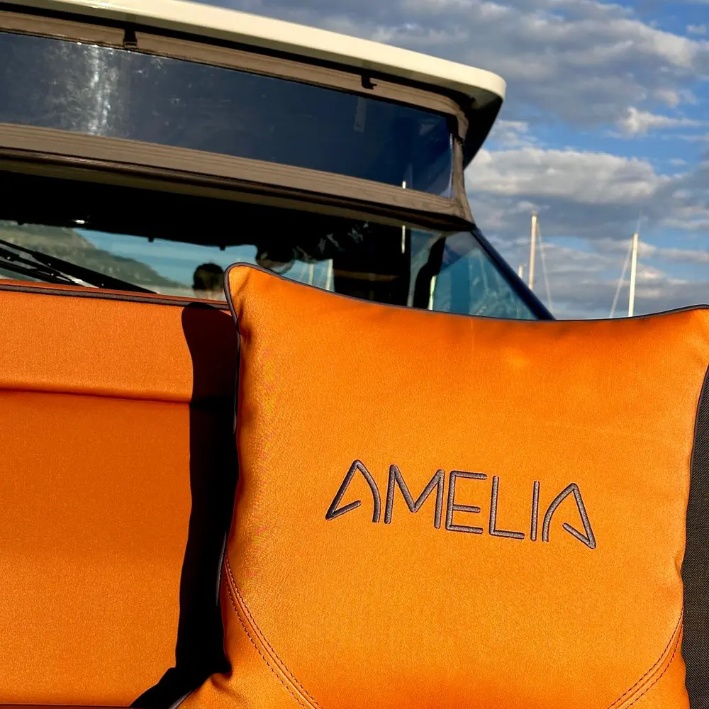 Amelia 7