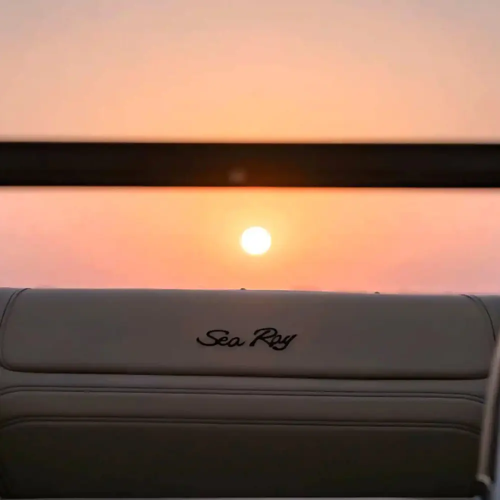 Sea Ray 4