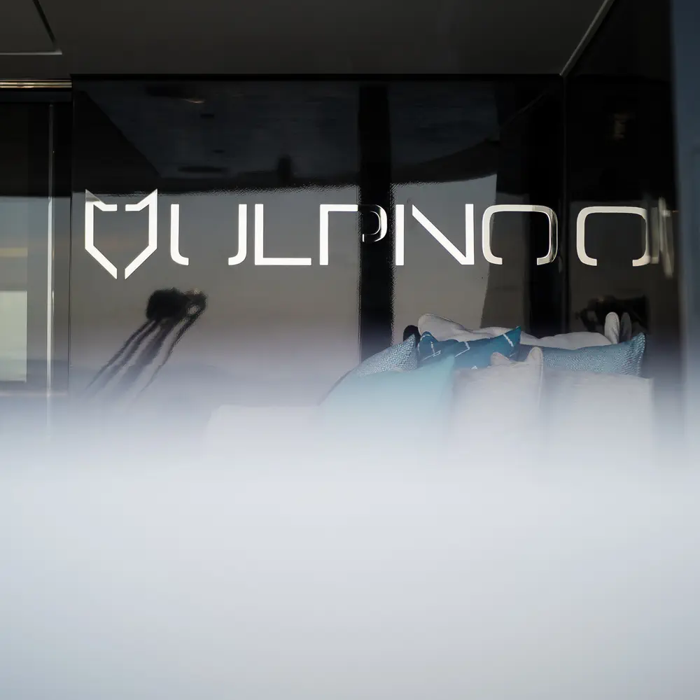 VULPINO 118