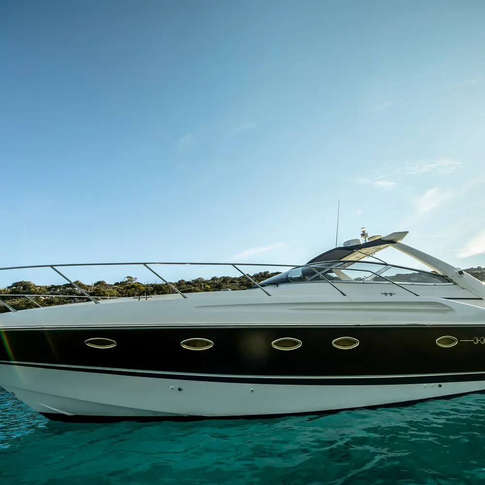 Maxim 40