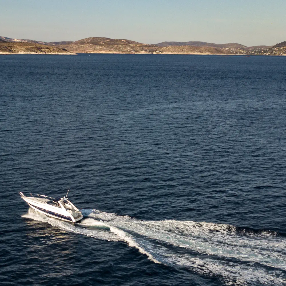 Maxim 46