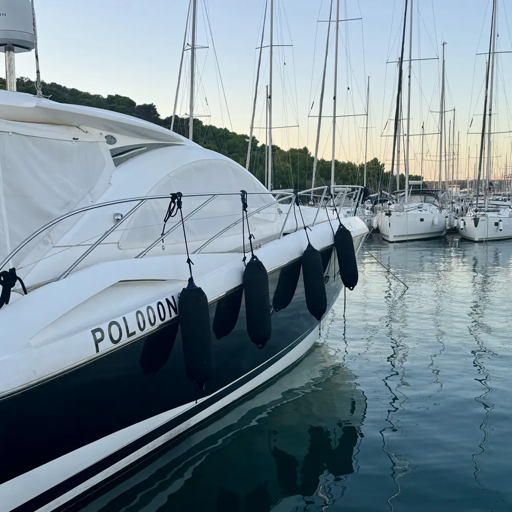 Polly 23