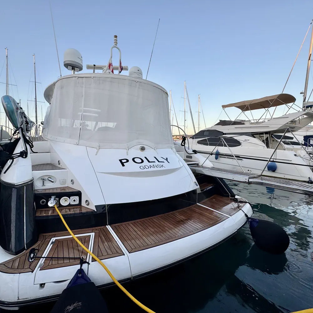 Polly 25