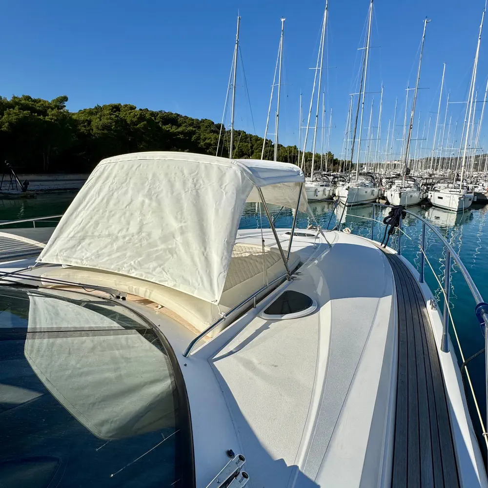 Polly 29