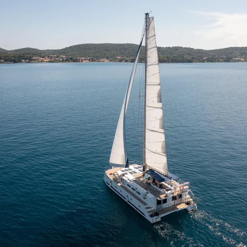 UPWIND 3