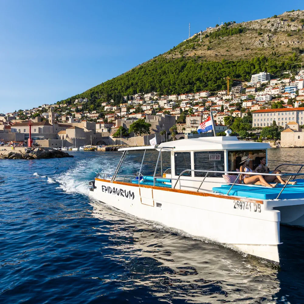 Allegra 11
