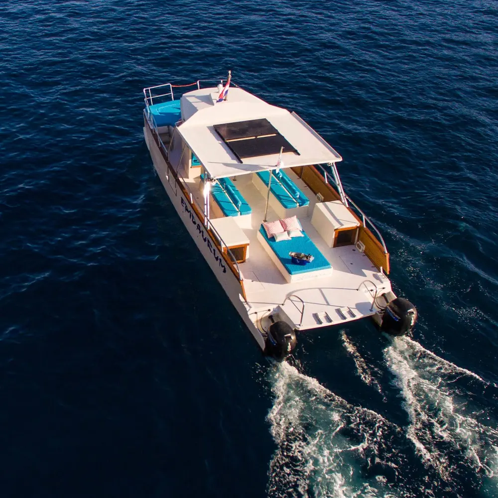 Allegra 15