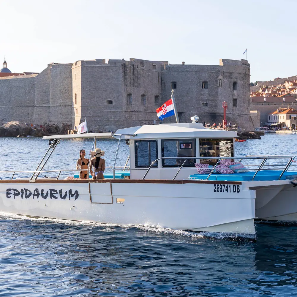 Allegra 29