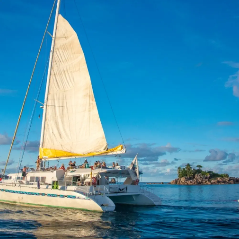 Le Gauguin 9