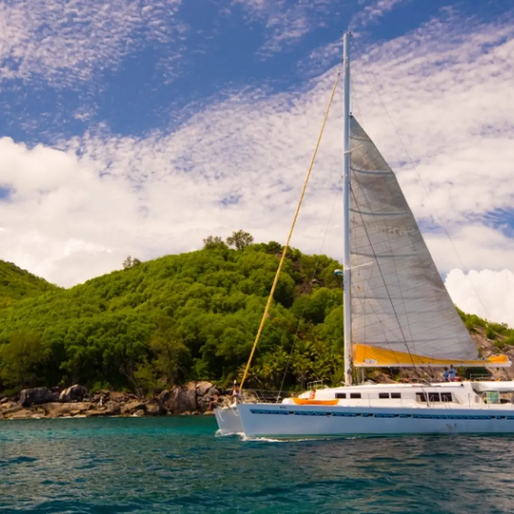 Le Gauguin 20