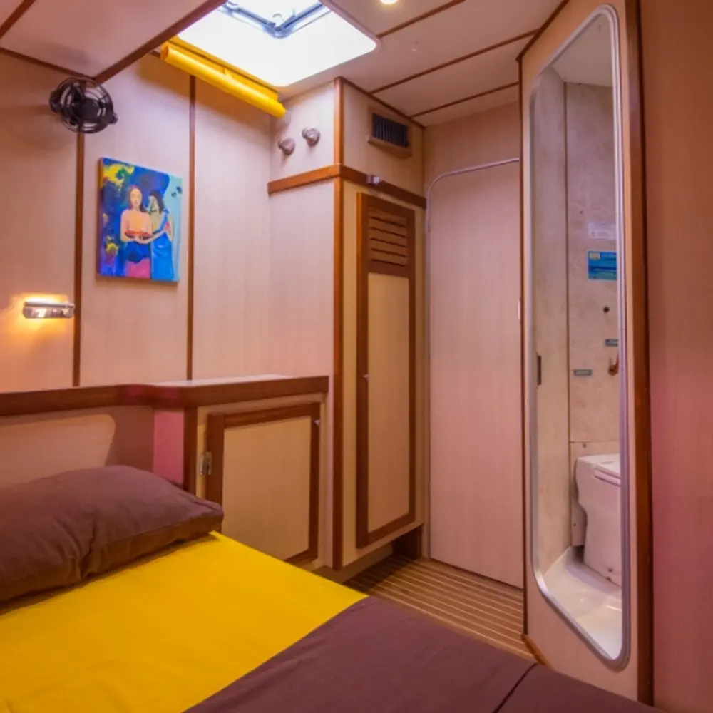 Cabin G11 7
