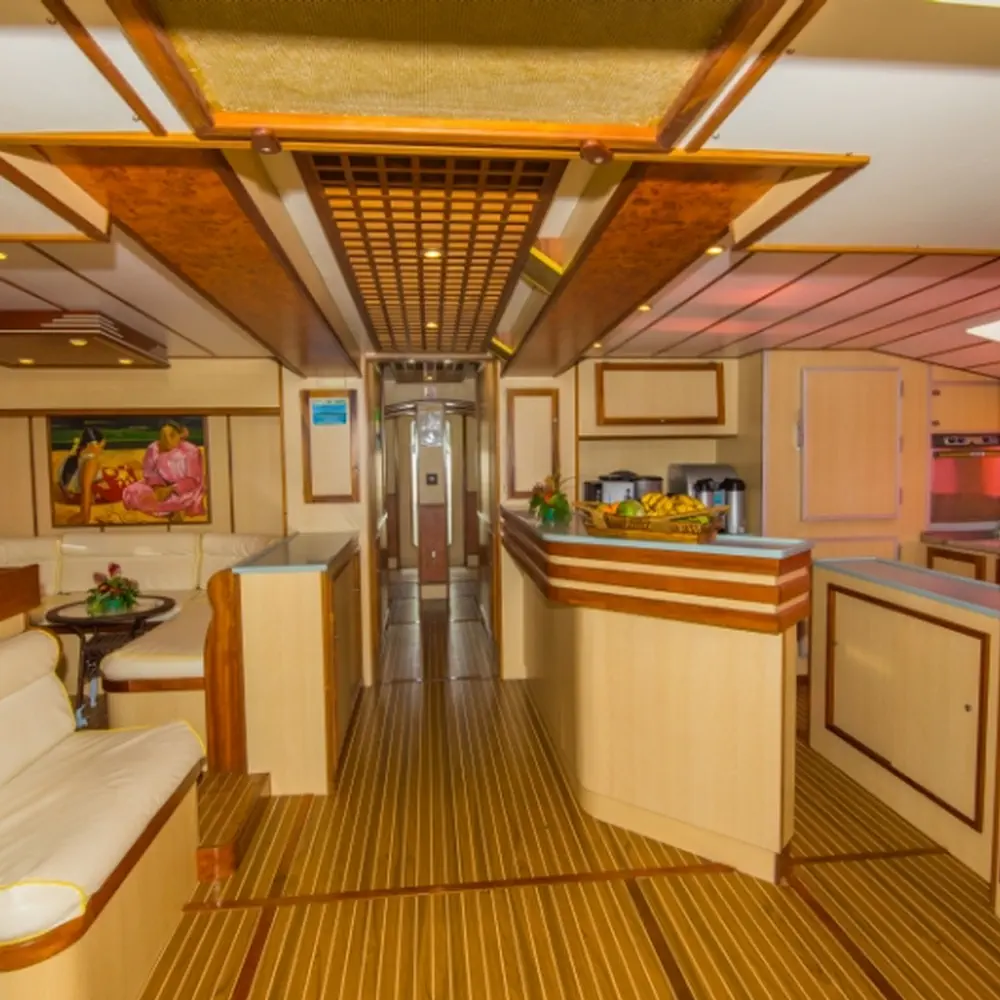 Cabin G11 4