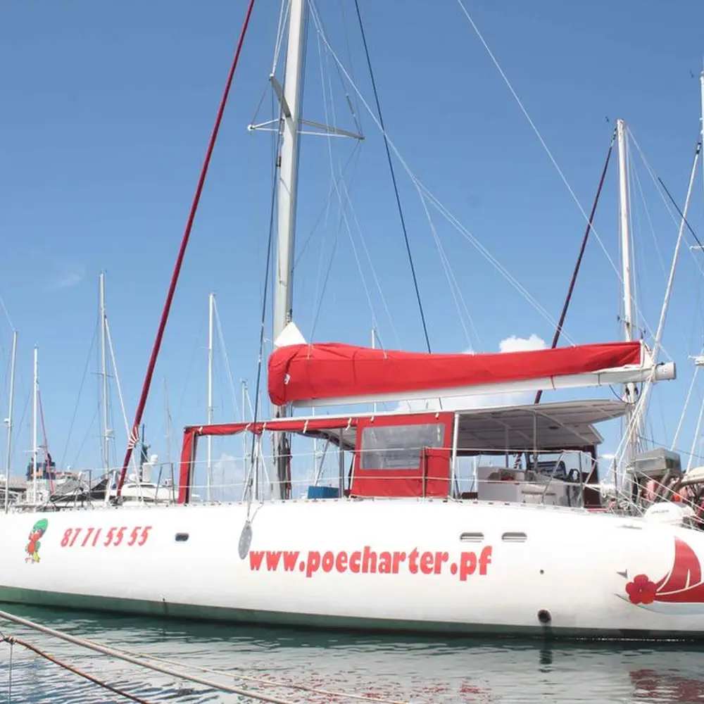 Poevasion 15