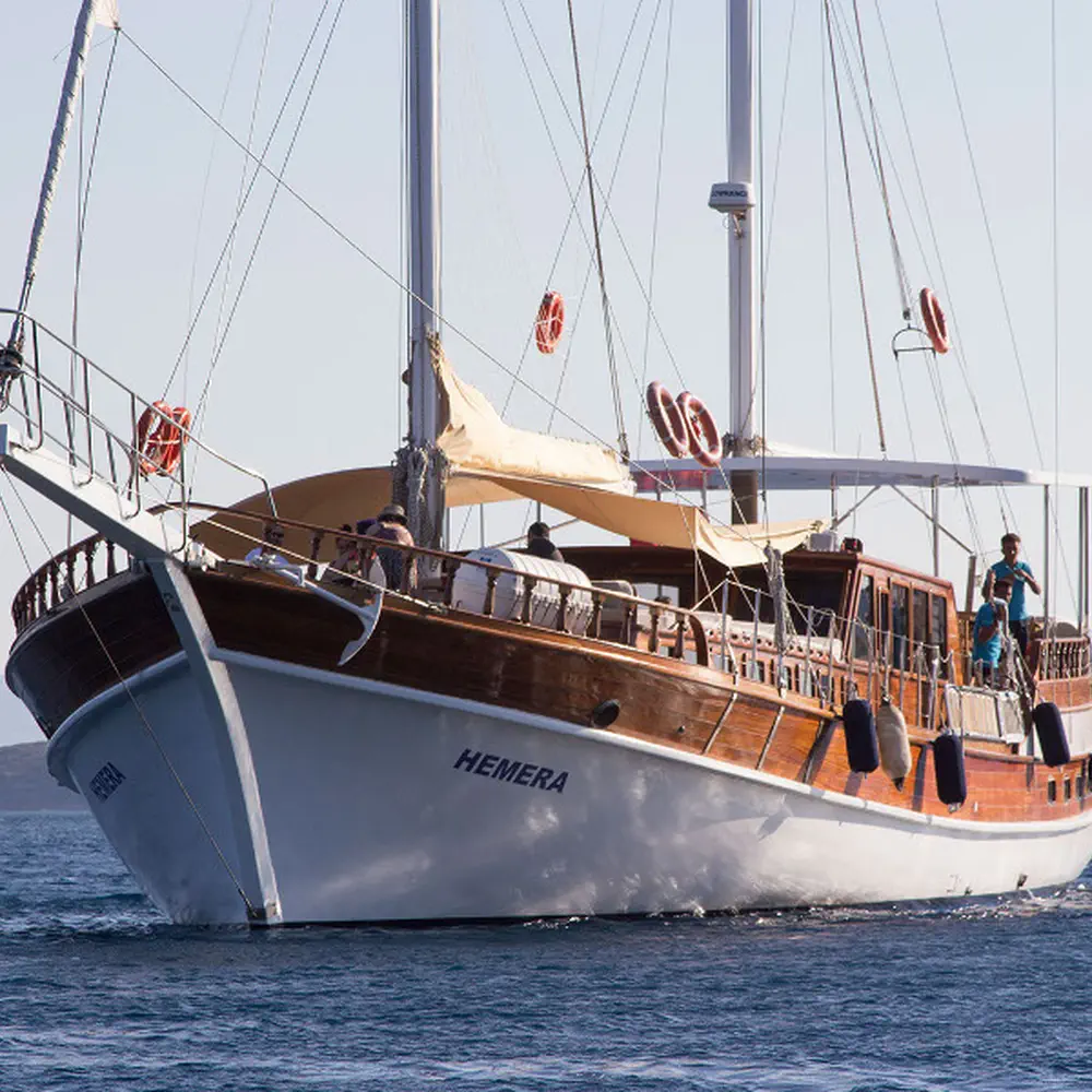 Hemera 29